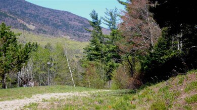 5 Golden Heights Rd unit 36.3, Waterville Valley, NH 03215 - photo 7