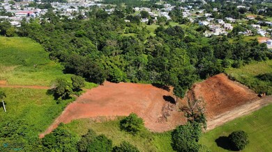 X Calle Los Cipreses Bo Pueblo Moca P R, Moca, PR 00676 - photo 6