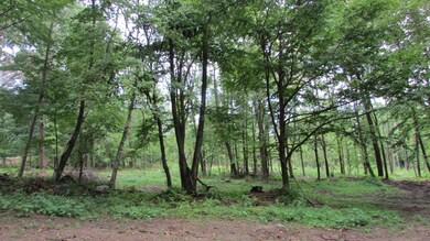 43 Handel Rd, Stafford, CT 06076 - photo 5