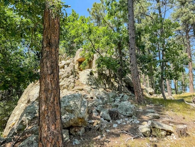 Tract Campfire Three Meadows Rd unit Lakota Lakes, East Custer, SD 57751 - photo 3