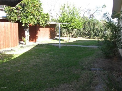 Grass area