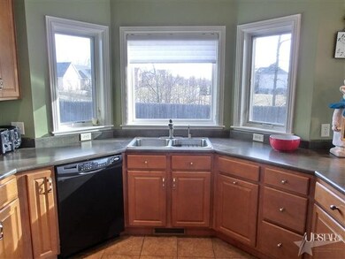 Stainless Steel kitchen sink