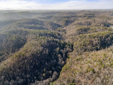 3550 River Rd, Williamsburg, KY 40769 - photo 4