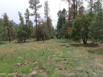 4940 S 32nd St, Show Low, AZ 85901 - photo 6