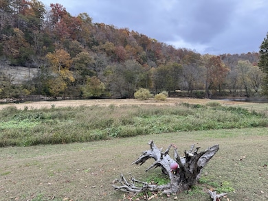 145 Big Buffalo Estates Cir, Linden, TN 37096 - photo 6