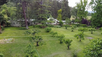 yard view 3