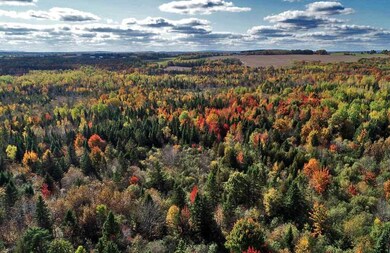 Lot 38 Route 1, Littleton, ME 04730 - photo 7