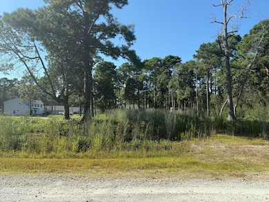 101 Catawba Rd, Boiling Spring Lakes, NC 28461 - photo 2