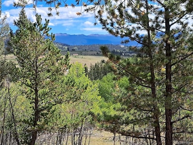 6452 Remington Rd, Como, CO 80456 - photo 7