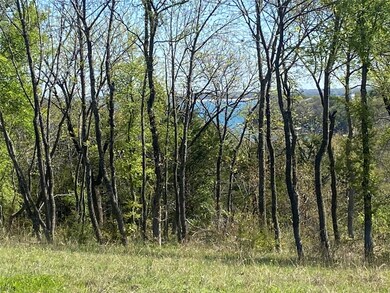 TBD N Preston Rd, Denison, TX 75020 - photo 3