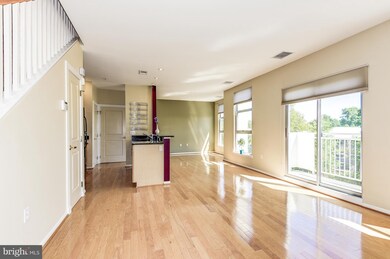 343 Cedar St NW unit 305, Washington, DC 20012 - photo 5