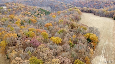 Tract 12 Polston Ln, Hickory Grove Township, MO 63357 - photo 2