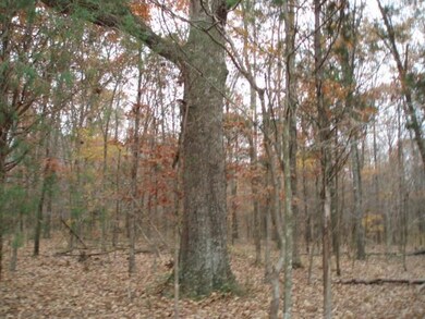 0 N Hunter Rd unit 1590376, Portland, TN 37148 - photo 5