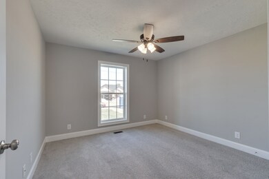 203 Ava Way, Shelbyville, TN 37160 - photo 6