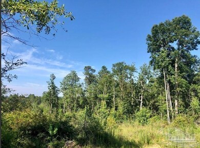Lot 17 BS Buffalo Ridge Rd, Pace, FL 32571 - photo 4