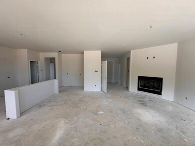 115 Brush Creek Dr, Boyd, TX 76023 - photo 4