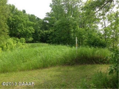 11250 van Loon Shores SW, Lowry, MN 56349 - photo 3