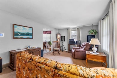 864 Strawberry Ln, Jackson, MO 63755 - photo 7