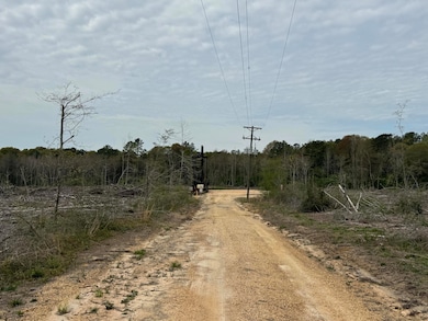 00 Dwan Rd, Ovett, MS 39464 - photo 2