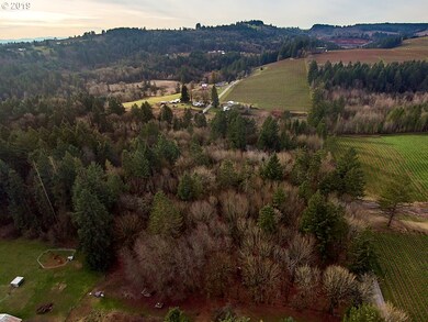 0 SW Niederberger Rd, Dundee, OR 97115 - photo 7