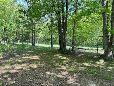 image5
