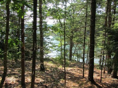Lot B Parsons Point Rd, Edgecomb, ME 04556 - photo 3