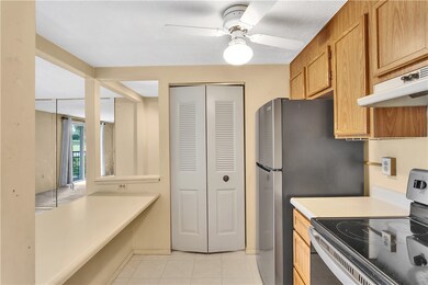 Pantry within the kitchen