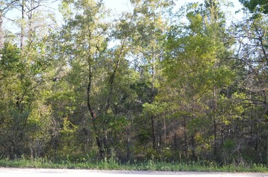 000 Fiddler's Way, Keaton Beach, FL 32348 - photo 5