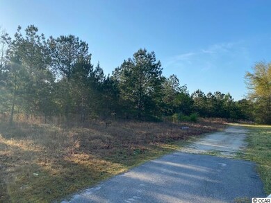21.88 Acs Pebble Ln, Conway, SC 29526 - photo 4