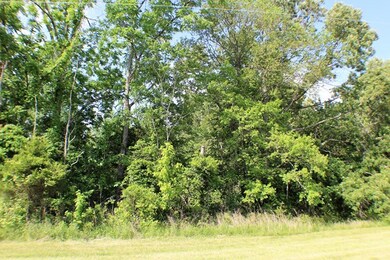 44.25 ac Falling Water Rd, Cookeville, TN 38506 - photo 3