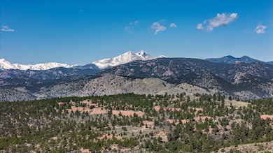 952 Steamboat Valley Rd, Lyons, CO 80540 - photo 2