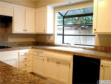 Garden Window in the gourmet kitchen