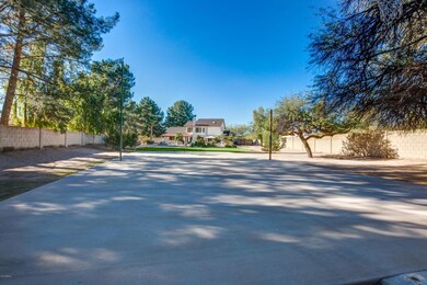 Basketball court