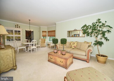 116 Queensberry Rd, Rosedale, MD 21237 - photo 4