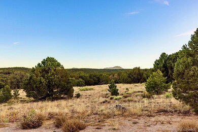 0 Cr 521 unit REC7490054, Walsenburg, CO 81089 - photo 5