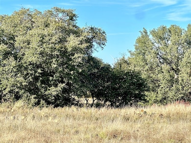 171 County Road 306, Goldthwaite, TX 76844 - photo 4