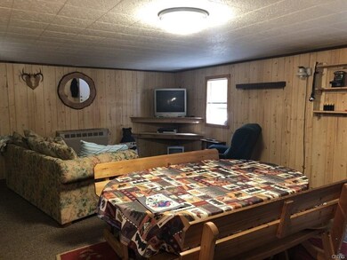 8853 Swift Hill Rd, Fillmore, NY 14735 - photo 4