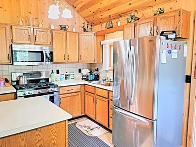 3864 W Wildwood Ave, Bitely, MI 49309 - photo 3