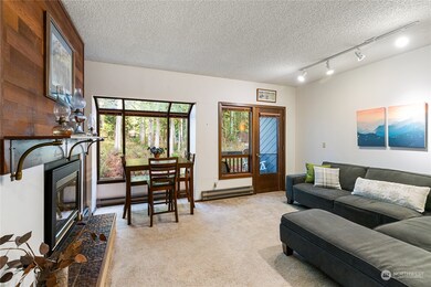 10500 Mt Baker Hwy unit 409, Deming, WA 98244 - photo 5