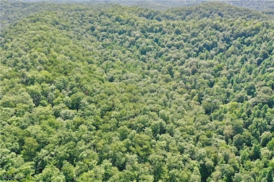 0002 Broomstick Rd, Big Bend, WV 26136 - photo 3