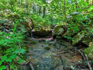 Year round creek flows in front of the house