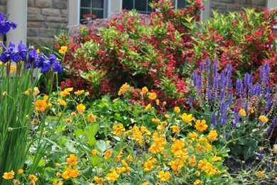 ALL PERENNIALS