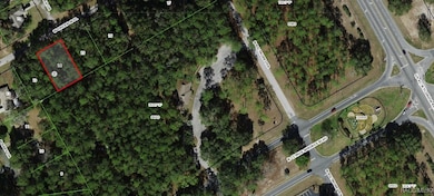 1330 W Emerson Place, Citrus Springs, FL 34434 - photo 2