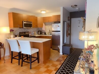 Hammond Park Condominiums unit 303, Chestnut Hill, MA 02467 - photo 4