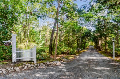 Driveway--Plum toward House