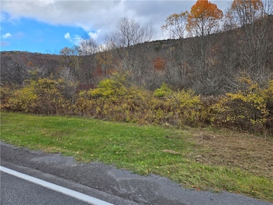 Lot 7 County Highway 6, Margaretville, NY 12455 - photo 4