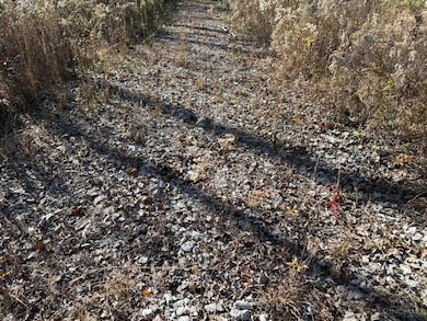 3498 Winter Holly Dr, Batavia Township, OH 45102 - photo 4