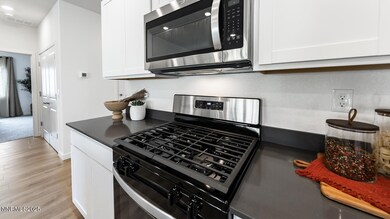 470 Sheep Camp Dr, Dayton, NV 89403 - photo 7