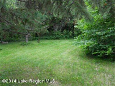 38638 Eldorado Beach Rd, Battle Lake, MN 56515 - photo 2