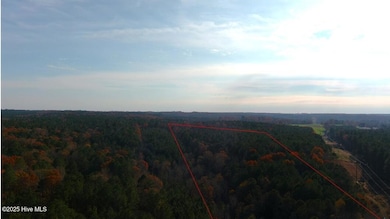 0 Lick Creek Rd unit 100542417, Sanford, NC 27330 - photo 2